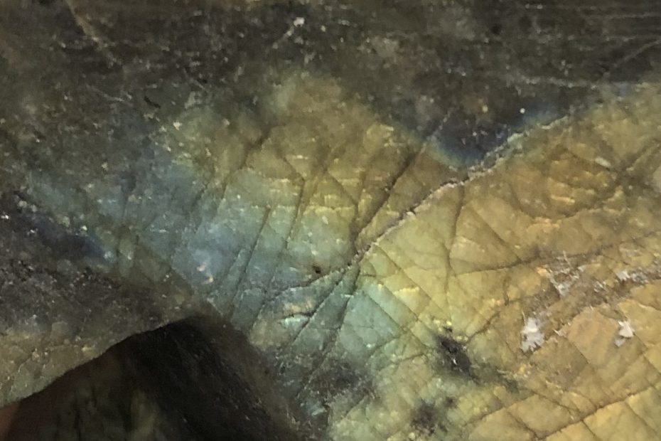 Immagine per rank math labradorite